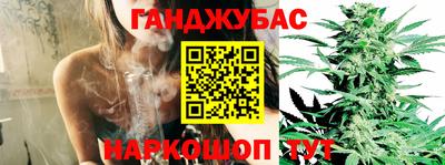 СК Сертолово