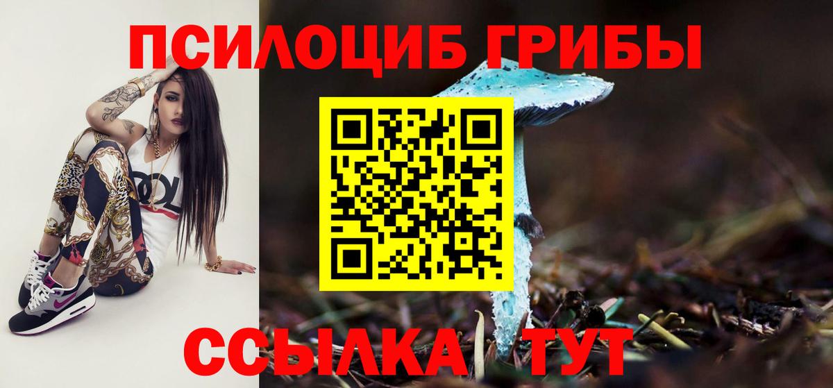 где найти   Вход с VPN  Дзержинск  Псилоцибиновые грибы мицелий 